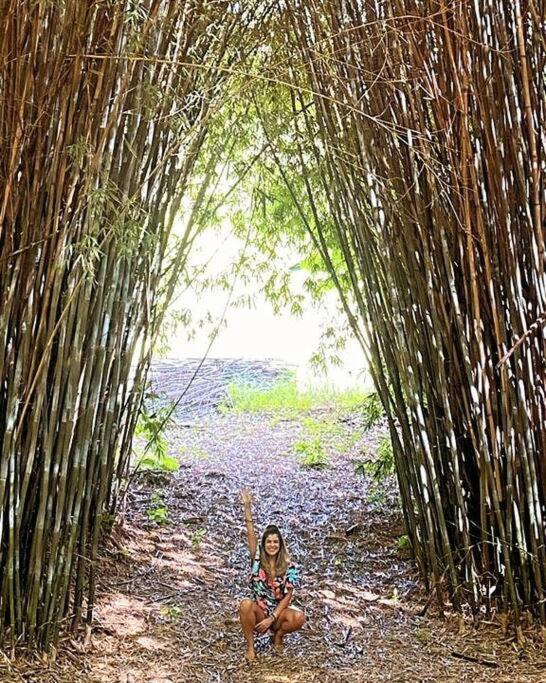 Recanto Dos Beija Flores, Chale Bougainville モンテ・アレーグレ・ド・スー エクステリア 写真